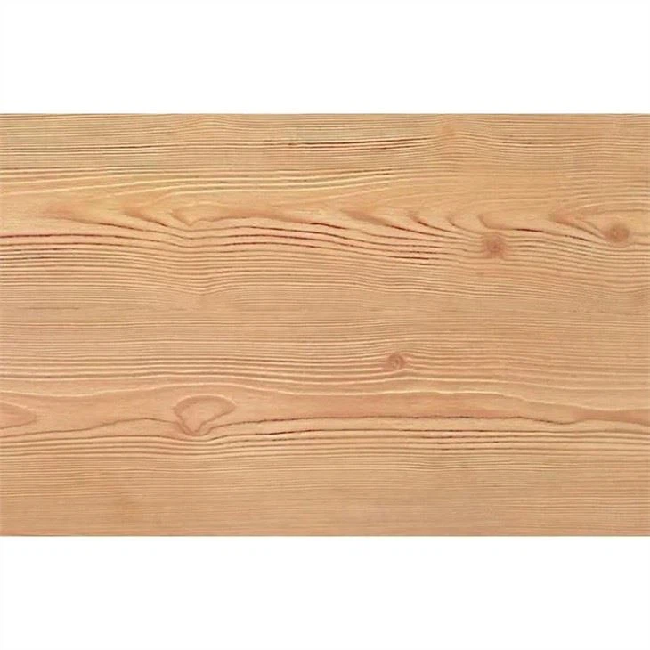 Pinus